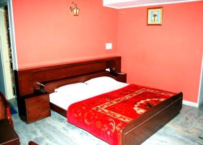 Hotel Welcome Palace Delhi  Dış mekan fotoğraf
